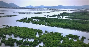 1775700770409822.jpg 247c0aa5ad9c88313db390c183559654.jpg