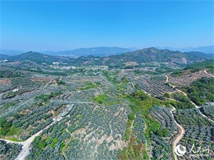 1775788757495160.jpg f076eb2f0f0c2d9820986711897c8718.jpg