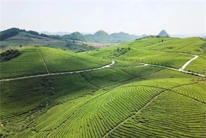 1776133269847484.jpg 6d55cf22474ba3424781b1d7608f9e5c_看图王.jpg