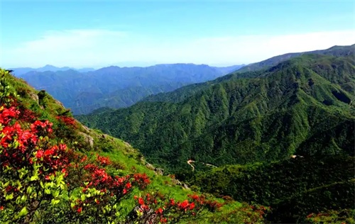 1779371657884814.jpg 6922a05758cbeefccf5f0ab11dd6173e.jpg