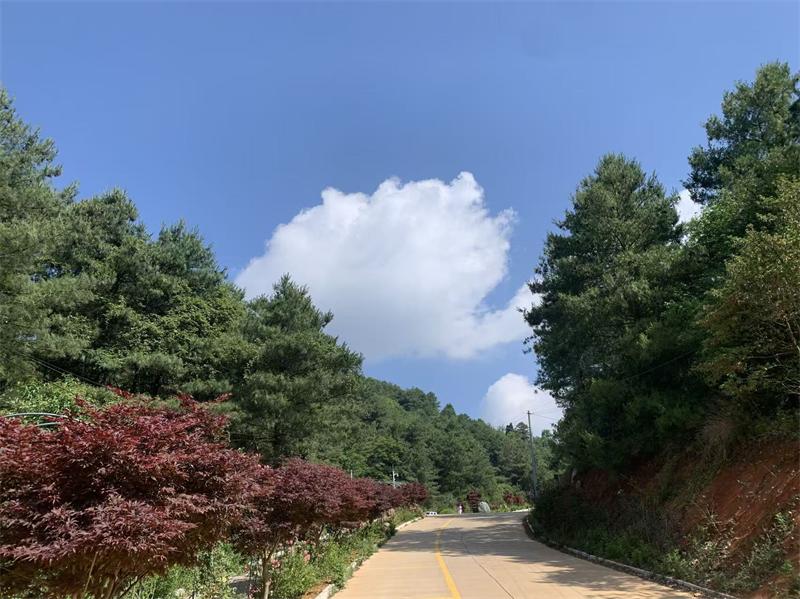 1779676903895128.jpg 微信图片_20260525101809_116_11.jpg