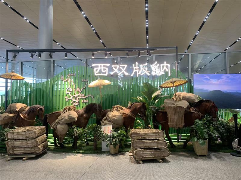 微信图片_20260529104607_236_551.jpg