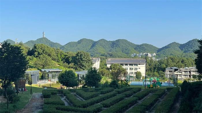 微信图片_2026-07-31_163008_447.jpg