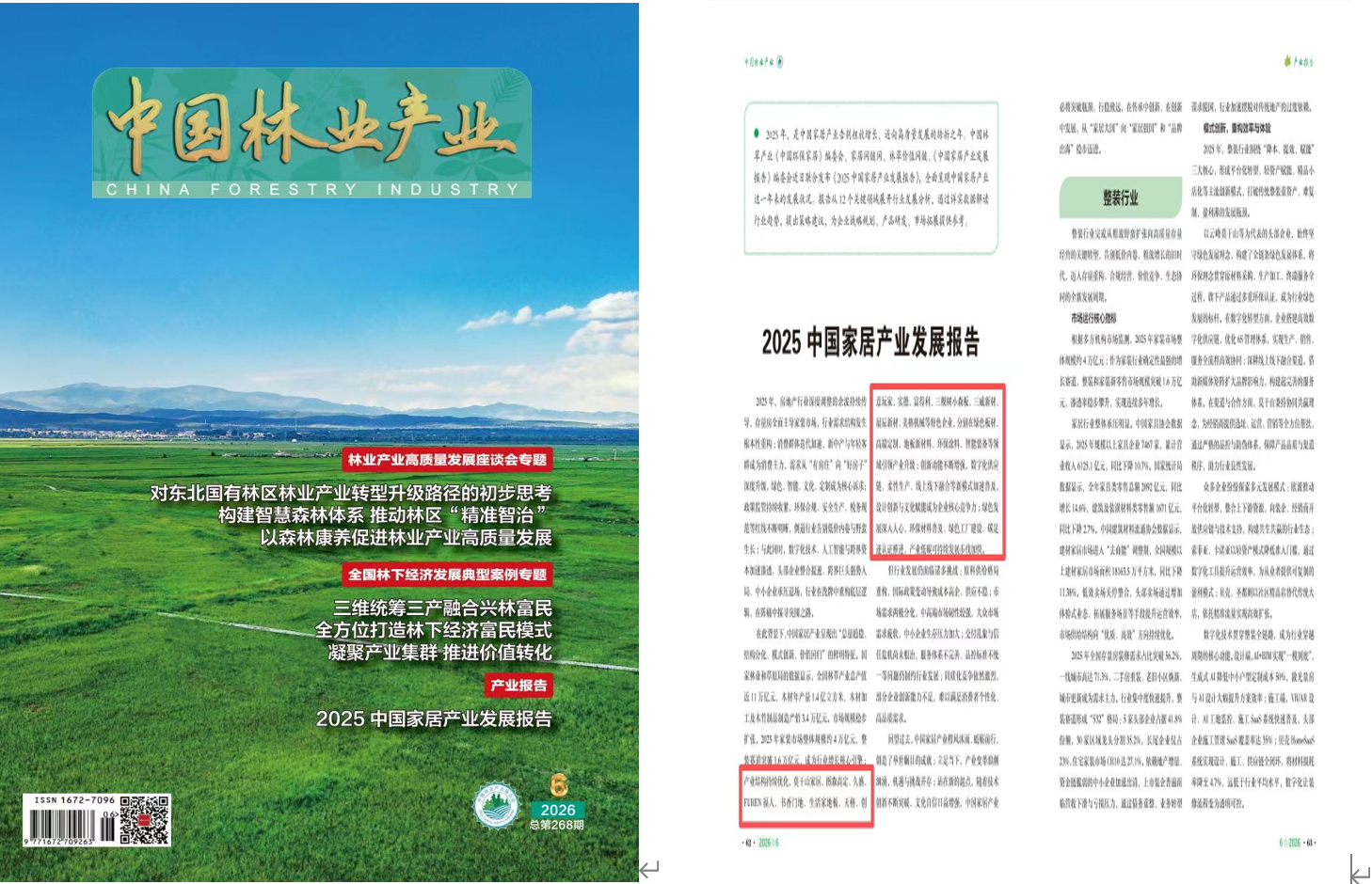 报告合图2.jpg